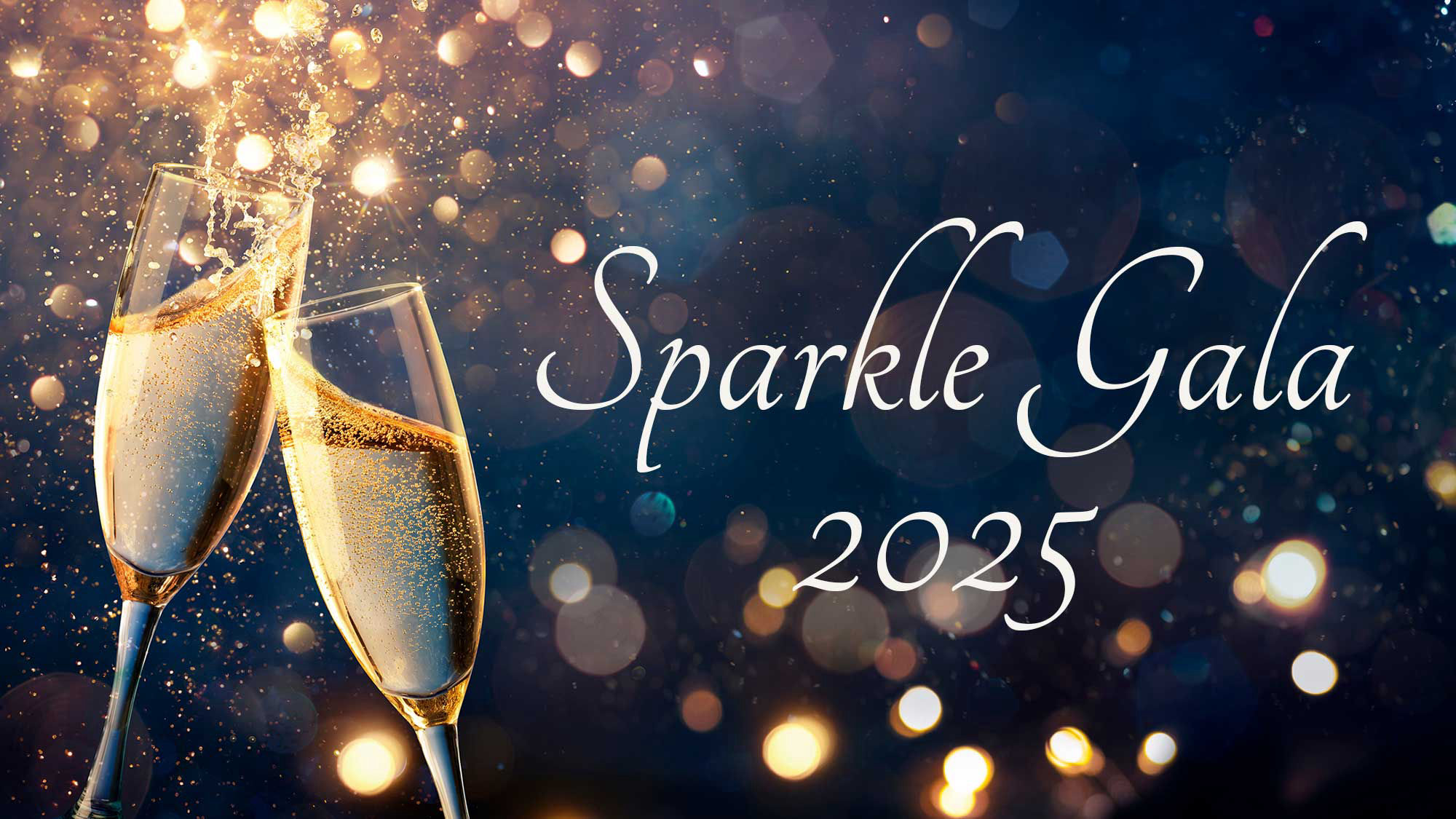 Sparkle Gala & Fundraiser 2025